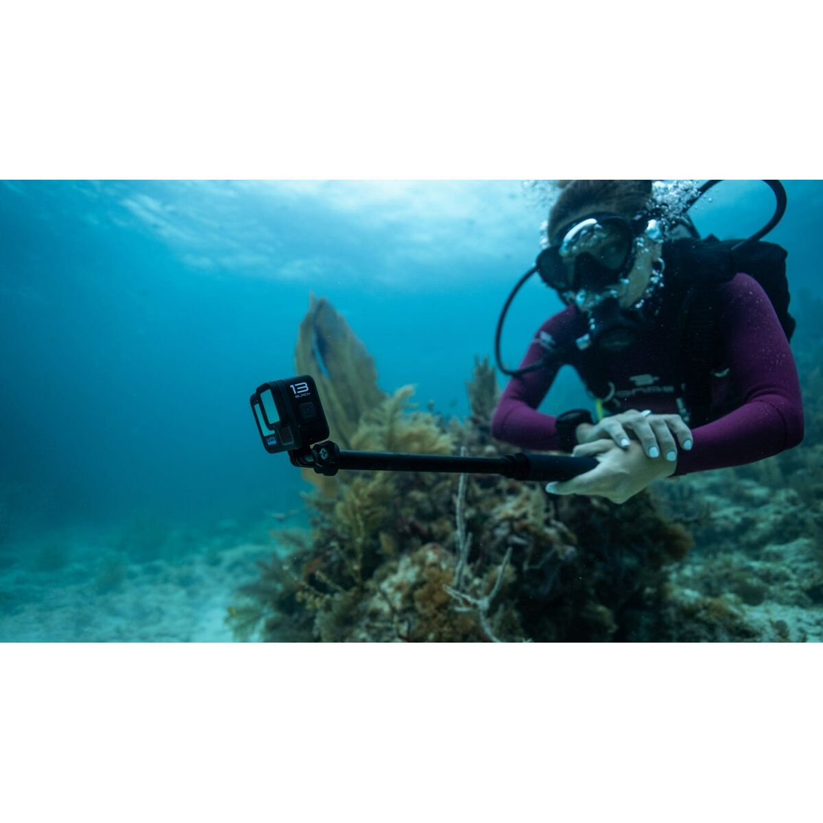 V8H0B812D7ED8AF2A6FC4F0D7AC9DB92758R6606661P5