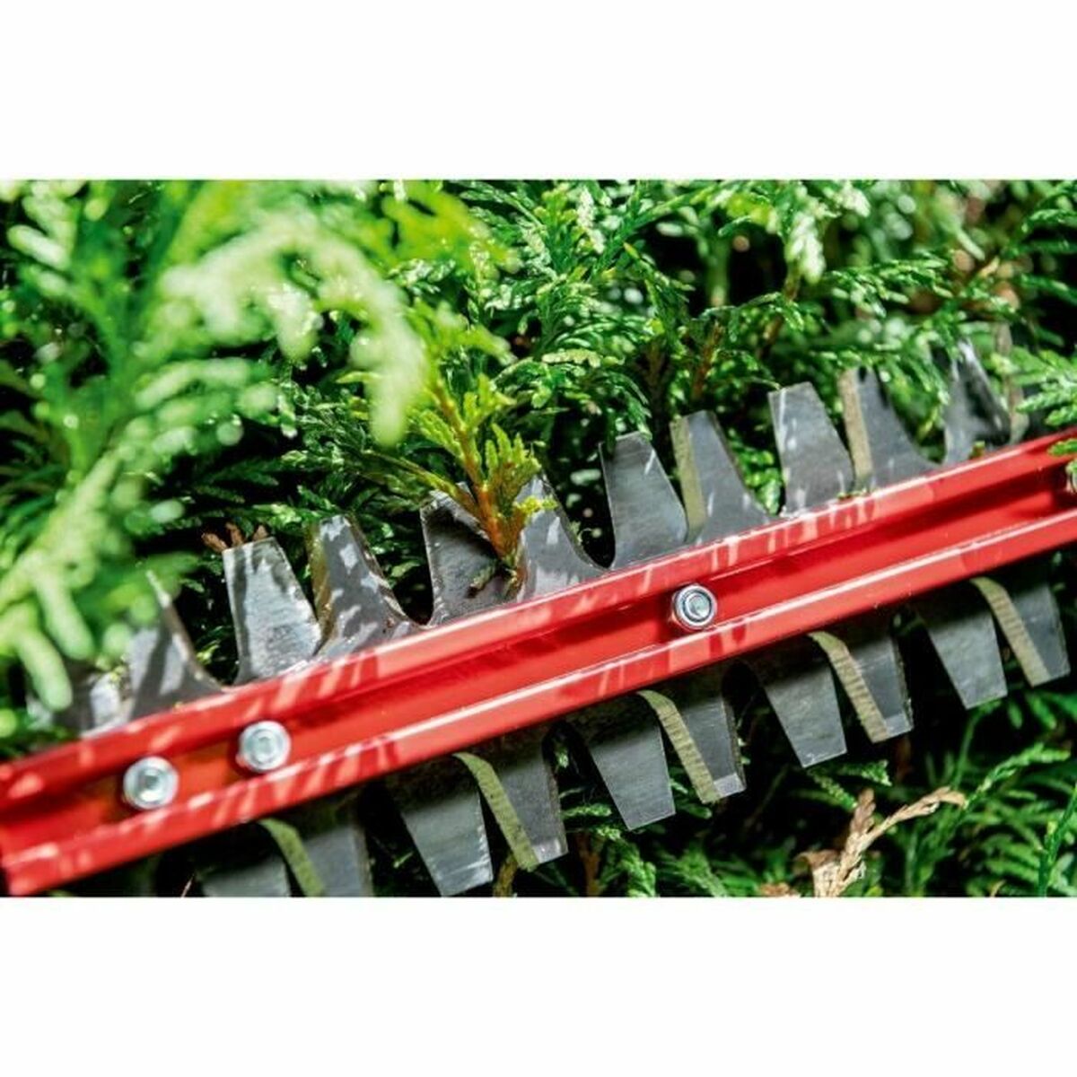 V5H56E9E1900B531AEBF5C660F775A499C9R7254744P3