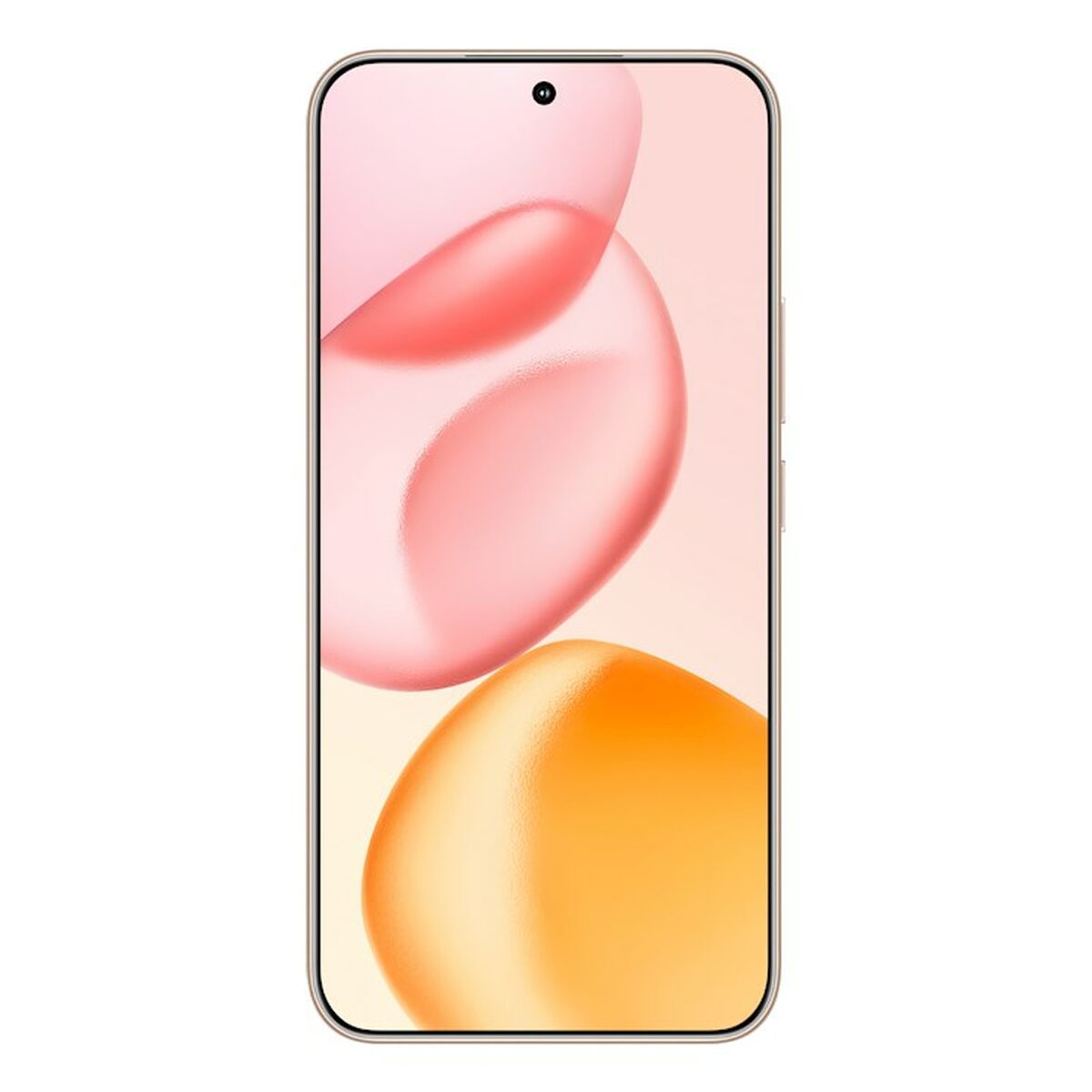 V9H097B9CF1FC40BC9736CC234F6C0BF63CR6661347P1